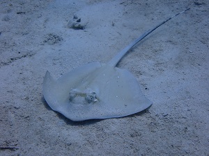 P7180032