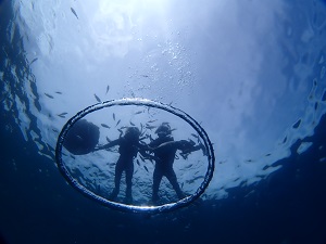 P9170080
