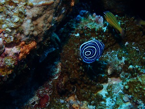 P5080069