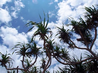 沖縄青の洞窟ダイビングショップ【マリンクラブクレアブログ】