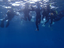 沖縄青の洞窟ダイビングショップ【マリンクラブクレアブログ】