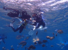 沖縄青の洞窟ダイビングショップ【マリンクラブクレアブログ】