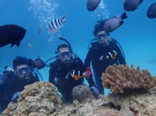 沖縄青の洞窟ダイビングショップ【マリンクラブクレアブログ】