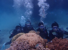 沖縄青の洞窟ダイビングショップ【マリンクラブクレアブログ】