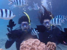 沖縄青の洞窟ダイビングショップ【マリンクラブクレアブログ】