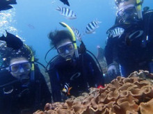 沖縄青の洞窟ダイビングショップ【マリンクラブクレアブログ】