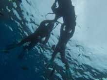 沖縄青の洞窟ダイビングショップ【マリンクラブクレアブログ】