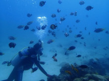 沖縄青の洞窟ダイビングショップ【マリンクラブクレアブログ】