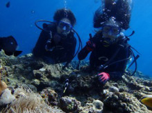 沖縄青の洞窟ダイビングショップ【マリンクラブクレアブログ】