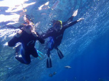 沖縄青の洞窟ダイビングショップ【マリンクラブクレアブログ】