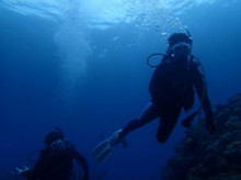 沖縄青の洞窟ダイビングショップ【マリンクラブクレアブログ】