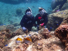 沖縄青の洞窟ダイビングショップ【マリンクラブクレアブログ】