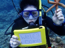 沖縄青の洞窟ダイビングショップ【マリンクラブクレアブログ】