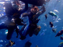 沖縄青の洞窟ダイビングショップ【マリンクラブクレアブログ】