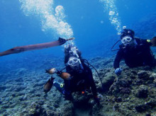 沖縄青の洞窟ダイビングショップ【マリンクラブクレアブログ】