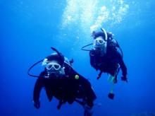 沖縄青の洞窟ダイビングショップ【マリンクラブクレアブログ】