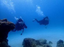 沖縄青の洞窟ダイビングショップ【マリンクラブクレアブログ】