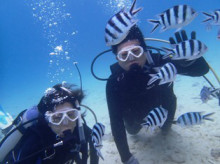 沖縄青の洞窟ダイビングショップ【マリンクラブクレアブログ】