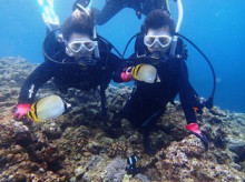 沖縄青の洞窟ダイビングショップ【マリンクラブクレアブログ】