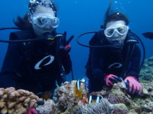 沖縄青の洞窟ダイビングショップ【マリンクラブクレアブログ】