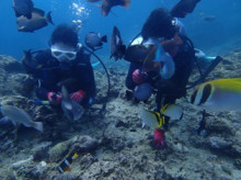 沖縄青の洞窟ダイビングショップ【マリンクラブクレアブログ】