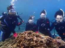 沖縄青の洞窟ダイビングショップ【マリンクラブクレアブログ】