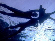 沖縄青の洞窟ダイビングショップ【マリンクラブクレアブログ】