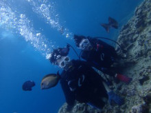 沖縄青の洞窟ダイビングショップ【マリンクラブクレアブログ】