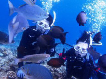 沖縄青の洞窟ダイビングショップ【マリンクラブクレアブログ】