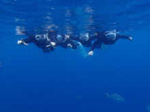 沖縄青の洞窟ダイビングショップ【マリンクラブクレアブログ】