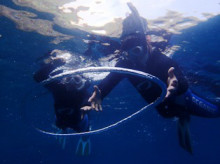 沖縄青の洞窟ダイビングショップ【マリンクラブクレアブログ】