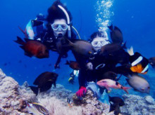 沖縄青の洞窟ダイビングショップ【マリンクラブクレアブログ】