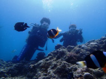 沖縄青の洞窟ダイビングショップ【マリンクラブクレアブログ】