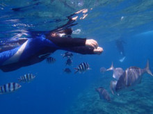 沖縄青の洞窟ダイビングショップ【マリンクラブクレアブログ】