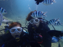 沖縄青の洞窟ダイビングショップ【マリンクラブクレアブログ】