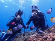 沖縄青の洞窟ダイビングショップ【マリンクラブクレアブログ】