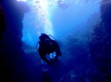 沖縄青の洞窟ダイビングショップ【マリンクラブクレアブログ】