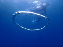 沖縄青の洞窟ダイビングショップ【マリンクラブクレアブログ】