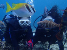 沖縄青の洞窟ダイビングショップ【マリンクラブクレアブログ】