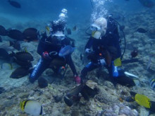 沖縄青の洞窟ダイビングショップ【マリンクラブクレアブログ】