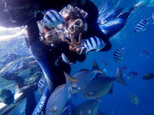 沖縄青の洞窟ダイビングショップ【マリンクラブクレアブログ】