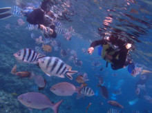 沖縄青の洞窟ダイビングショップ【マリンクラブクレアブログ】