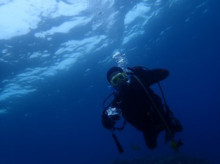 沖縄青の洞窟ダイビングショップ【マリンクラブクレアブログ】