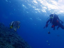 沖縄青の洞窟ダイビングショップ【マリンクラブクレアブログ】