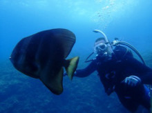 沖縄青の洞窟ダイビングショップ【マリンクラブクレアブログ】