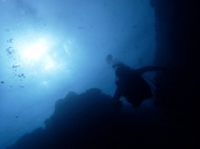 沖縄青の洞窟ダイビングショップ【マリンクラブクレアブログ】