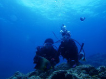 沖縄青の洞窟ダイビングショップ【マリンクラブクレアブログ】