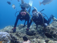 沖縄青の洞窟ダイビングショップ【マリンクラブクレアブログ】