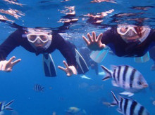 沖縄青の洞窟ダイビングショップ【マリンクラブクレアブログ】