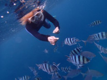 沖縄青の洞窟ダイビングショップ【マリンクラブクレアブログ】